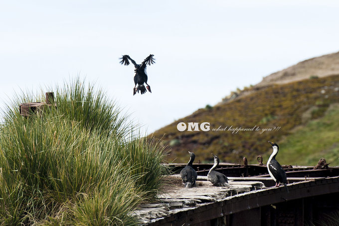 大洋港图片 大洋港图片