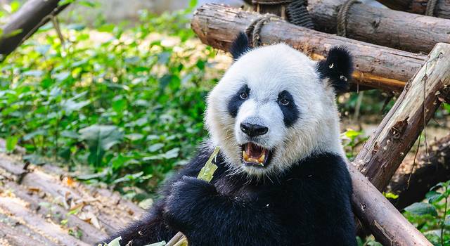 四川,值得一去的天府之国