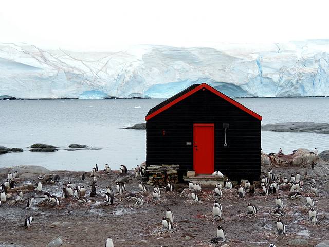 洛克罗伊港的南极博物馆