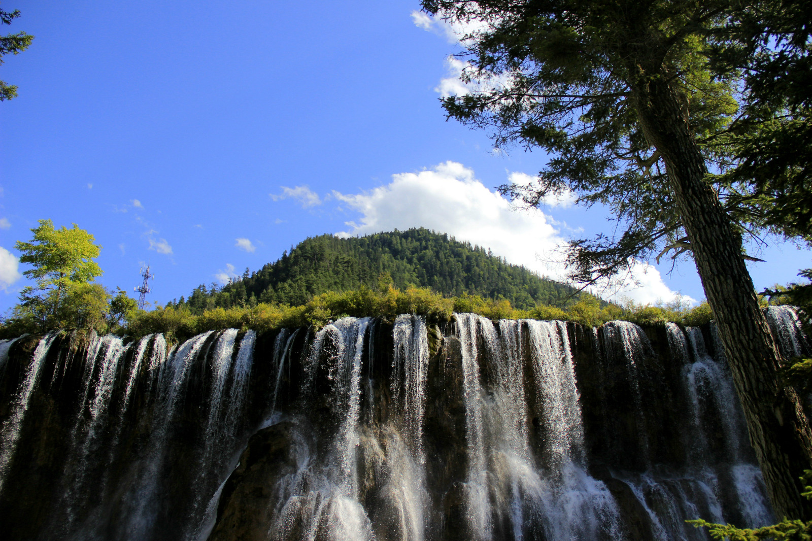景点介绍诺日朗瀑布位于中国四川省九寨沟海拔2365米瀑宽270米高24