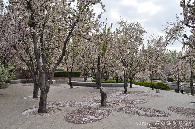 元大都城垣遗址公园