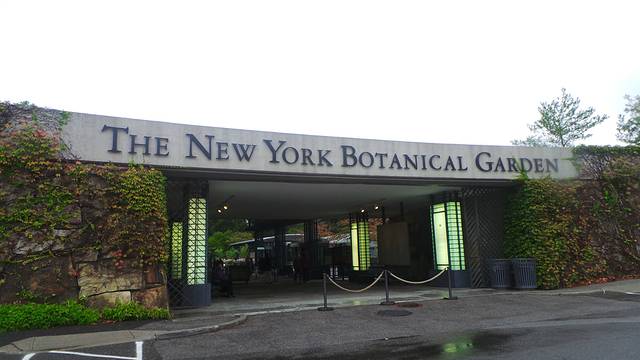 纽约植物园