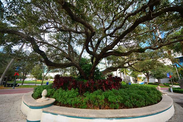 劳德代尔堡河滨大道