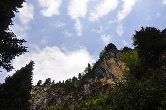 甘肃莲花山国家森林公园