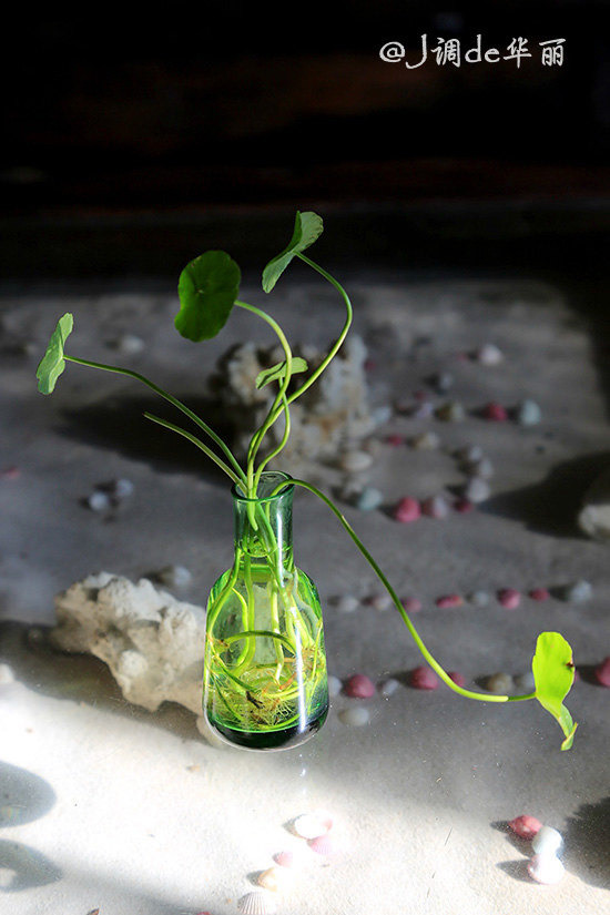 三亚海岸11号艺术酒吧