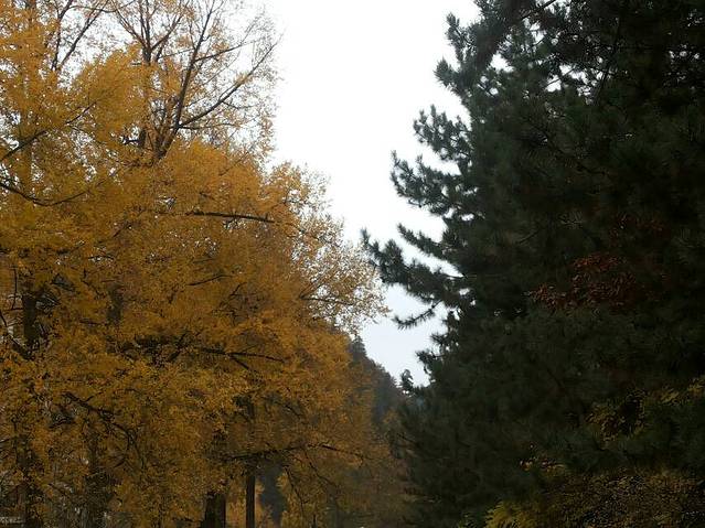 引大入秦水利灌溉农业旅游区