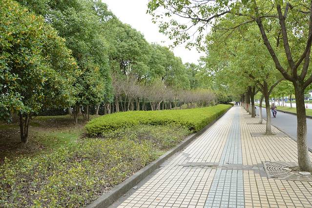 上海旗忠森林网球中心