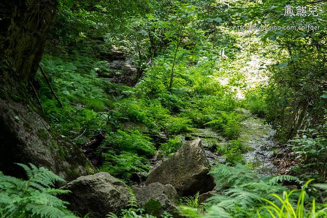 北京喇叭沟原始森林公园