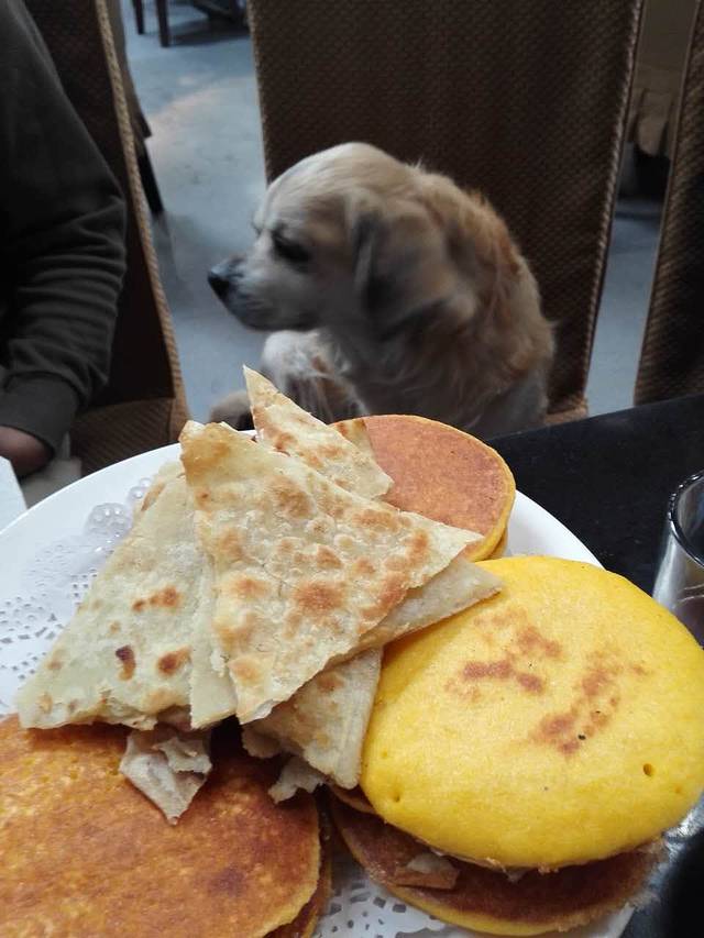 金鼎鱼香生态渔村