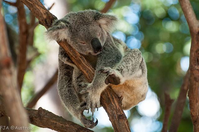 可伦宾野生动物保护区