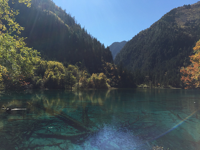 "五花海是湖水最清的地方，水中一切均清晰可见，湖水因观看角度的不同呈现不同的色彩_九寨沟-五花海"的评论图片