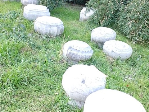 白马公园旅游景点图片