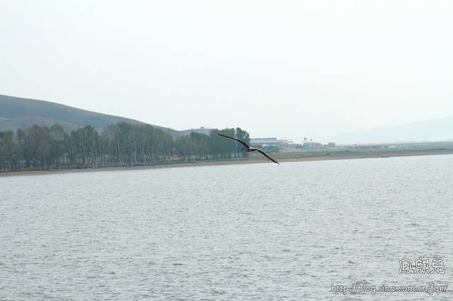 闪电河国家湿地公园