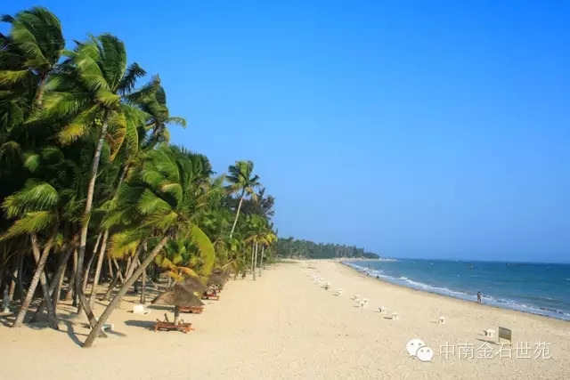 东郊椰林风景区