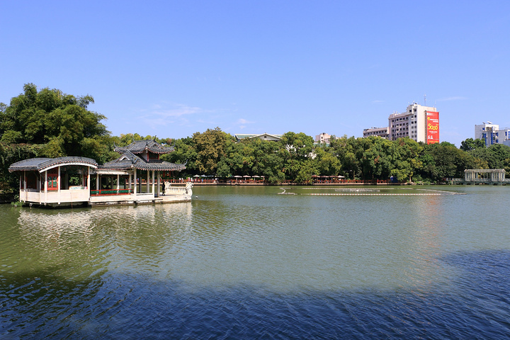 2024榕湖的美景。这里比桂湖更加的阴凉,在湖边有许多扎根在这里的榕树,茂密的树叶让游人更加的凉爽_榕杉湖景区-评论-去哪儿攻略