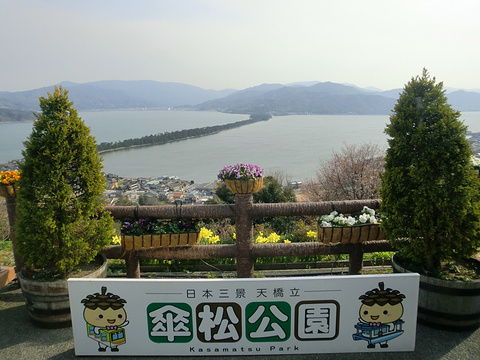 2024伞松公园-旅游攻略-门票-地址-问答-游记点评,宫津市旅游旅游景点推荐-去哪儿攻略
