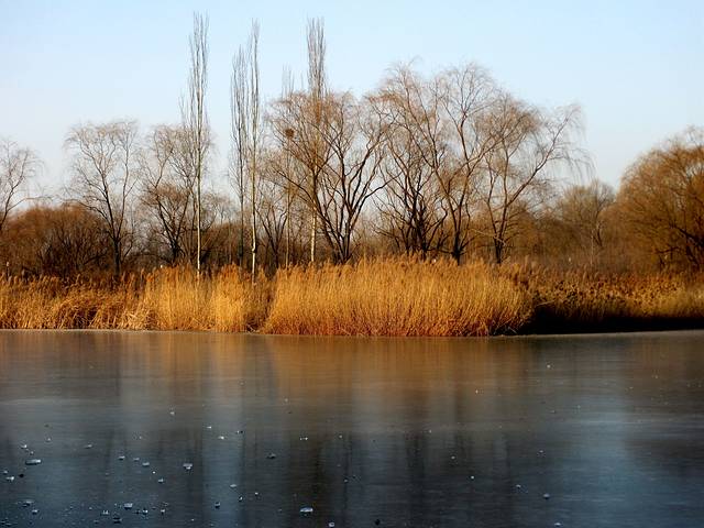 奥林匹克森林公园