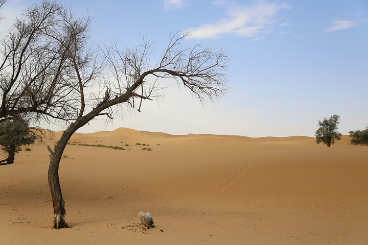 终于到了目的地第一次与沙漠零距离接触,内心