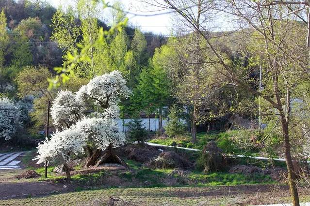太子山风景旅游区