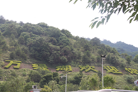 万绿湖旅游景点攻略图