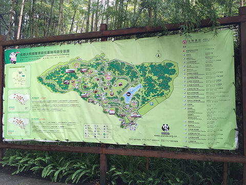 成都大熊猫繁育研究基地旅游景点攻略图