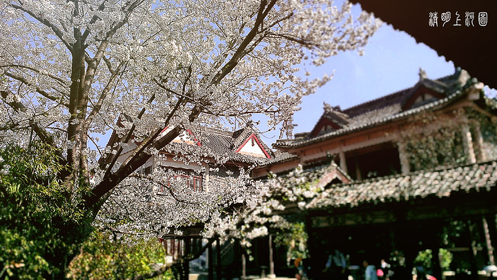 "但那绝对不是小笼包好么！景小 好小 霸气不在。那一道远景很美艳。这是很美的三层建筑 朱雀楼的内部_清明上河图景区"的评论图片