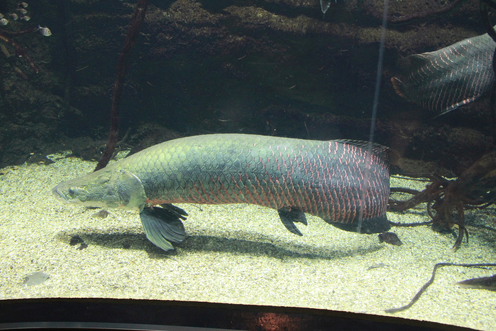 参观者可先乘坐电梯升至最高的第8层由上而下逐层