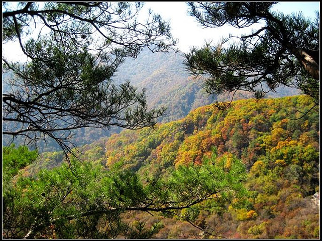 染得群山色斑斕.如何採運_五女峰