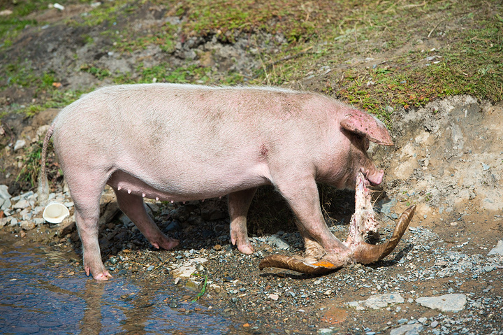 2017.坐落于祁连山脉南麓的东端,平均海拔180