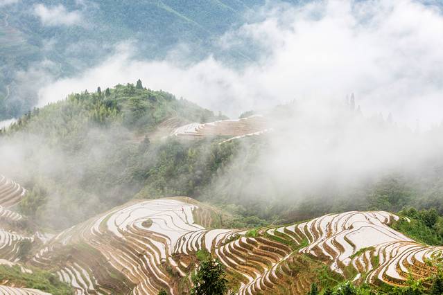 平安壮族梯田观景区