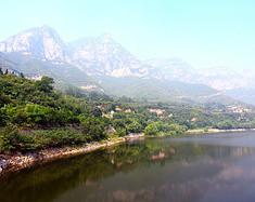 中国猴山——五龙口