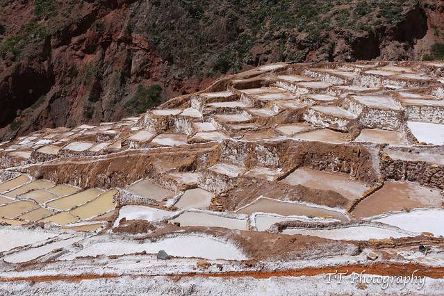 萨利纳斯·马拉斯