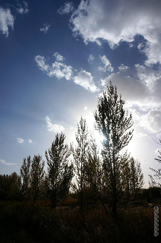 2017相机不做防沙保护很容易就报废拉_库布齐