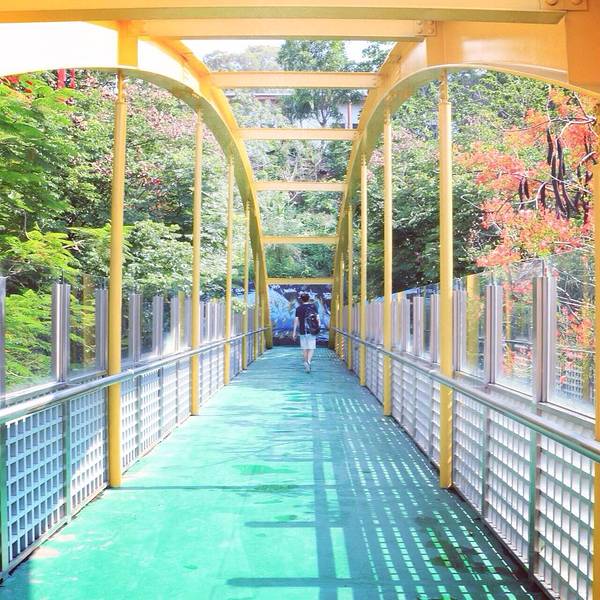 2019大叶大学门票,彰化大叶大学游玩攻略,大叶大学游览攻略路线\/地址\/门票价格-【去哪儿攻略】