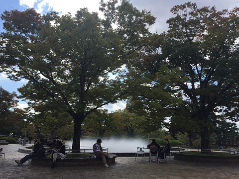 22京都国立近代美术馆 旅游攻略 门票 地址 问答 游记点评 京都旅游旅游景点推荐 去哪儿攻略