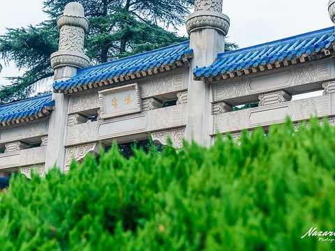 中山陵景区旅游景点图片