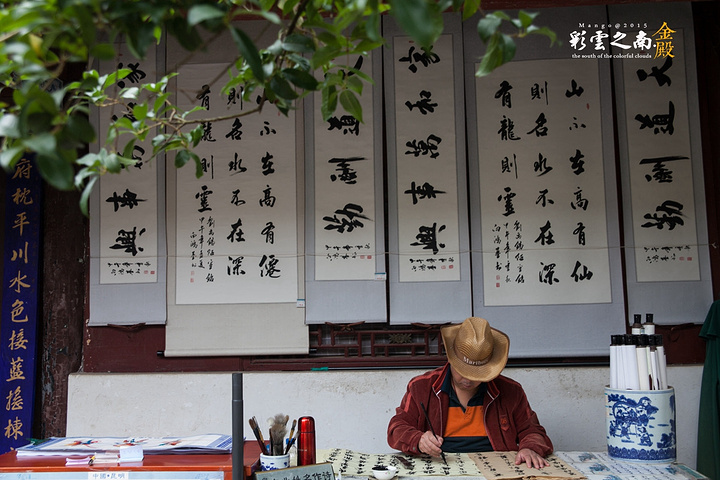 "院内有个茶花园，收集了全球各地的茶花品种，有些名字还挺有意思，叫荷花的茶花，碧血丹心，玫瑰什么的……_金殿公园"的评论图片