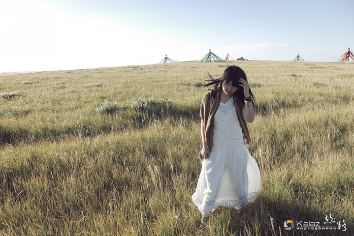 一记排山倒海,结束了鸟岛的行程,赶赴青海湖的