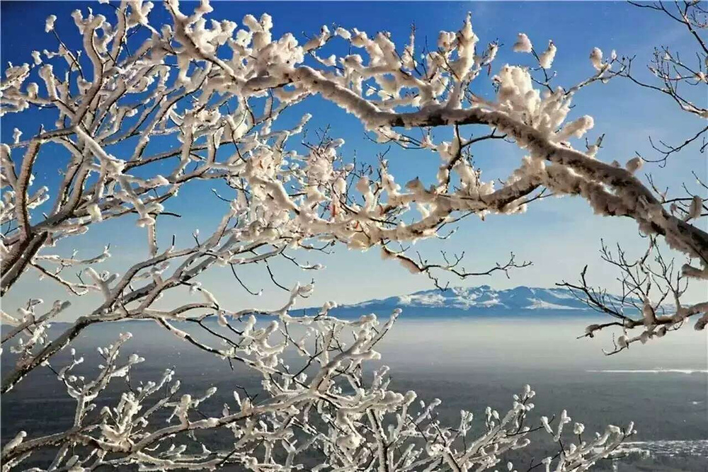 哈尔滨/雪乡/长白山/雾凇岛/户外游玩
