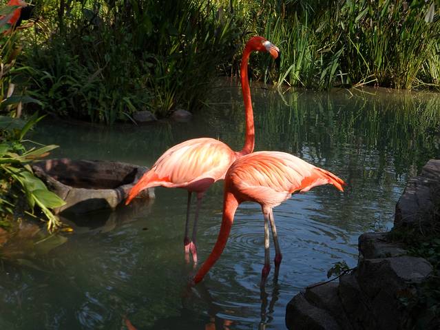 长鹿旅游休博园