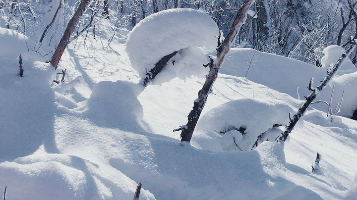 发现一片厚厚的雪地很适合拍照,一人来一张.羊草山顶