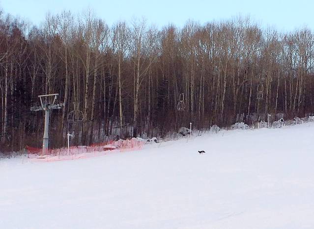 长白山和平滑雪场