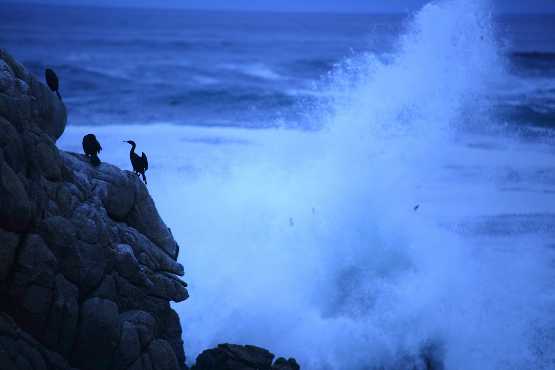 美帝篇：爱在阳光下的加利福尼亚~