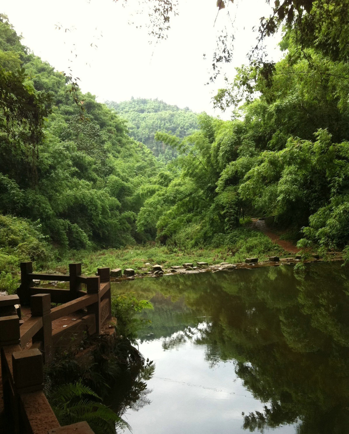 芦沟竹海是平乐古镇中的一个景点,门票不贵,但是非常值得.