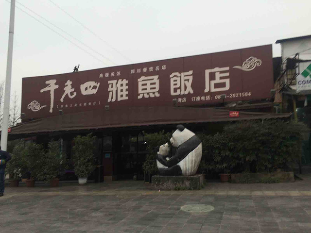 "_干老四雅鱼饭店(沙湾店)"的评论图片