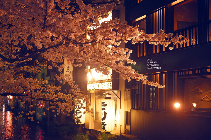 "听说很多居酒屋可以喝着小酒，观赏鸭川夜景。时尚商业化的酒吧街，却流动着百年古老的气息_先斗町"的评论图片