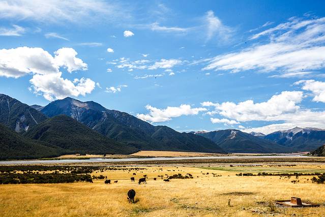  亚瑟隘口国家公园