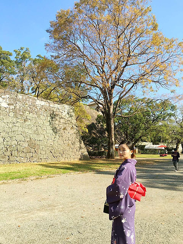 21day4 和服体验 熊本城 乘由布森到由布院 泡温泉 阳光明媚 蓝天绿树纯粹地养眼 熊本城 评论 去哪儿攻略