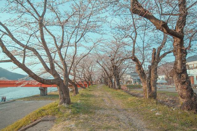 原宿东角博物馆