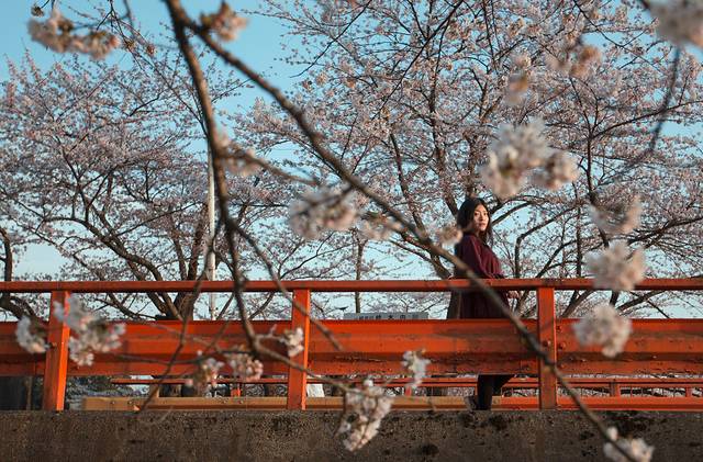 原宿东角博物馆